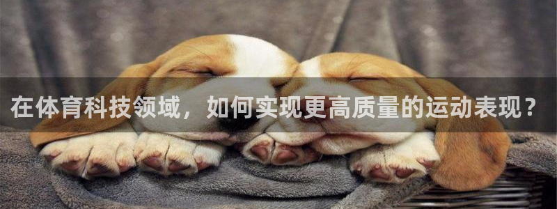 在体育科技领域，如何实现更高质量的运动表现？