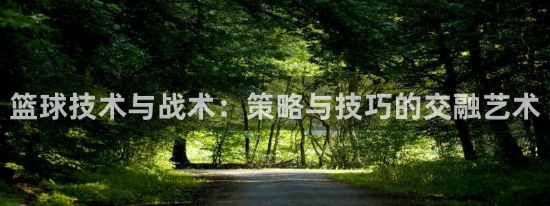 篮球技术与战术：策略与技巧的交融艺术