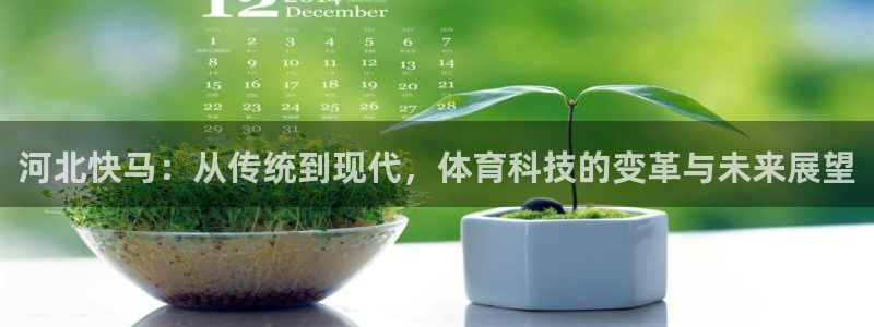 河北快马：从传统到现代，体育科技的变革与未来展望