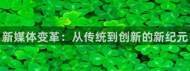 新媒体变革：从传统到创新的新纪元
