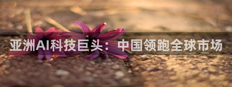 亚洲AI科技巨头：中国领跑全球市场