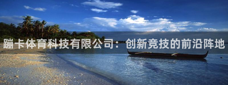 蹦卡体育科技有限公司：创新竞技的前沿阵地