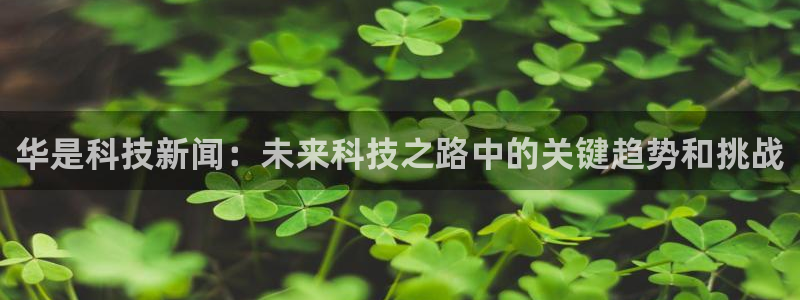 华是科技新闻：未来科技之路中的关键趋势和挑战
