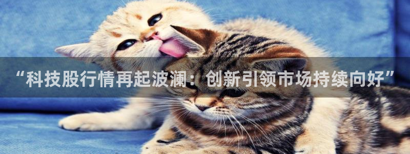 “科技股行情再起波澜：创新引领市场持续向好”