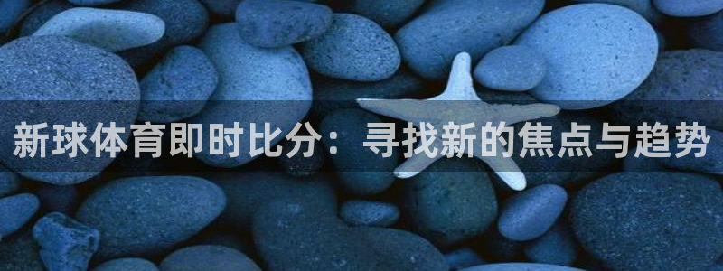 新球体育即时比分：寻找新的焦点与趋势