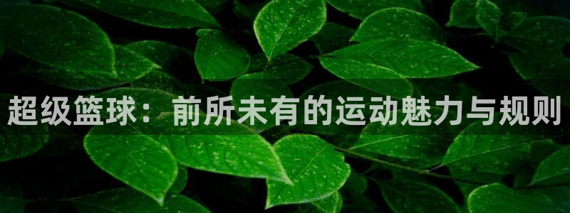 超级篮球：前所未有的运动魅力与规则