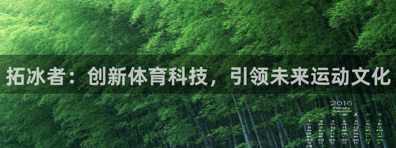 拓冰者：创新体育科技，引领未来运动文化