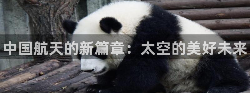 中国航天的新篇章：太空的美好未来