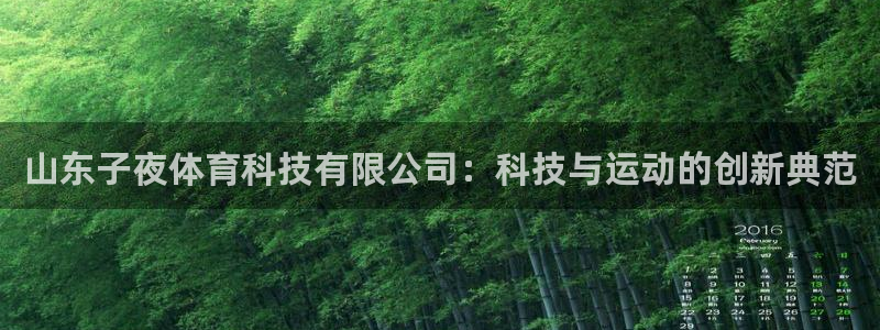 山东子夜体育科技有限公司：科技与运动的创新典范