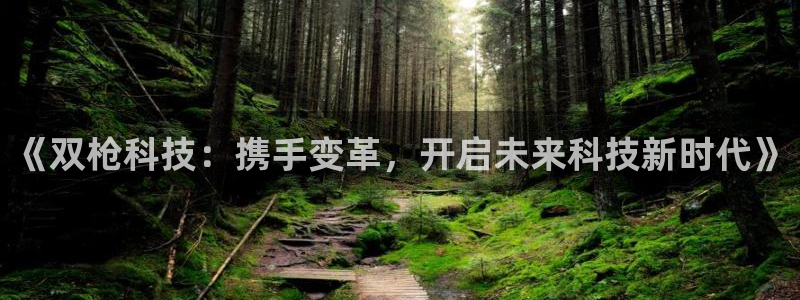 《双枪科技：携手变革，开启未来科技新时代》