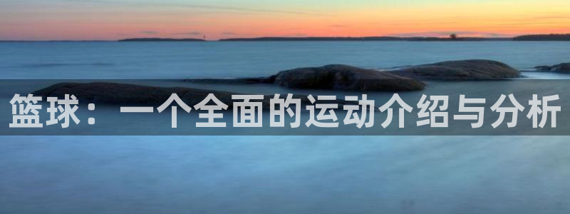 篮球：一个全面的运动介绍与分析
