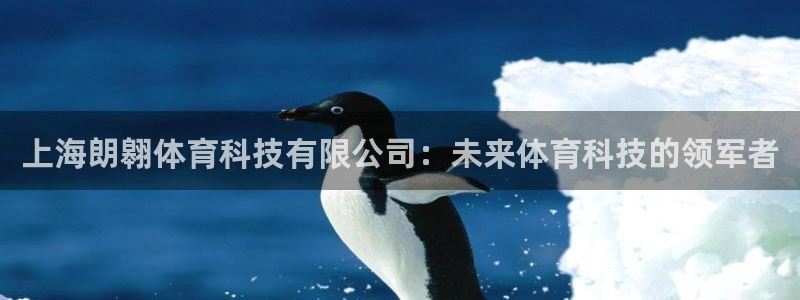 上海朗翱体育科技有限公司：未来体育科技的领军者
