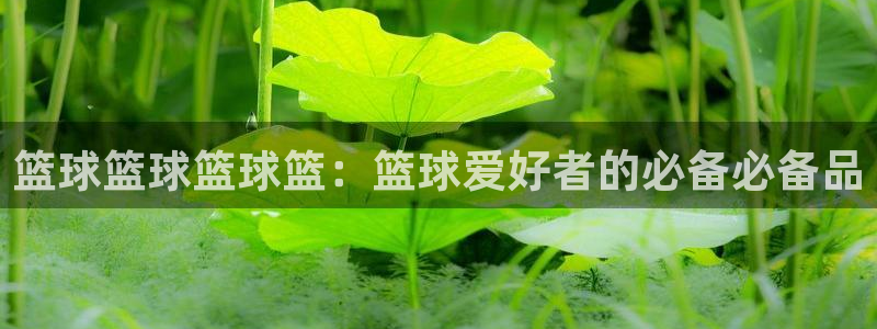 篮球篮球篮球篮：篮球爱好者的必备必备品