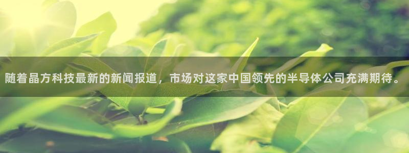 随着晶方科技最新的新闻报道，市场对这家中国领先的半导体公司充满期待。