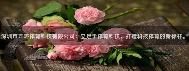 深圳市五环体育科技有限公司：立足于体育科技，打造科技体育的新标杆。