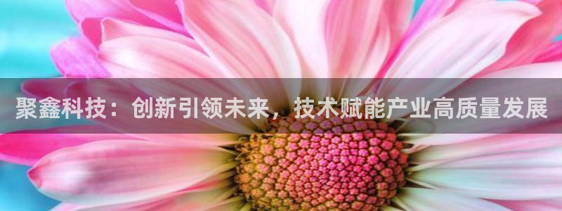 聚鑫科技：创新引领未来，技术赋能产业高质量发展