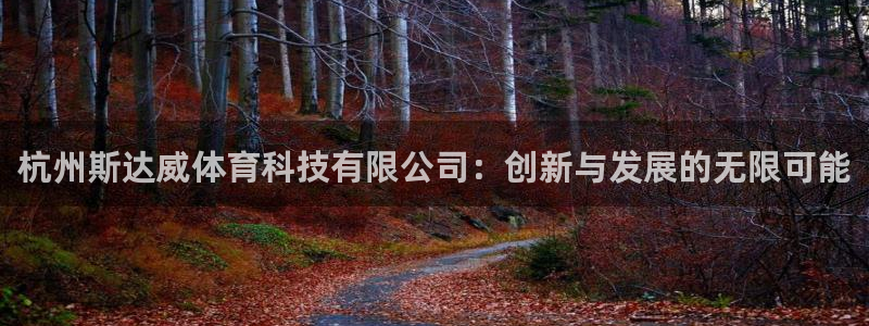杭州斯达威体育科技有限公司：创新与发展的无限可能