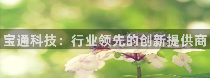 宝通科技：行业领先的创新提供商