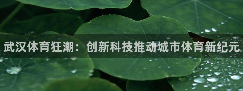 武汉体育狂潮：创新科技推动城市体育新纪元